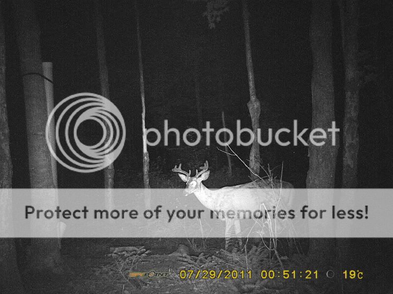 Ontario antlerless deer draw results are in folks... Excalibur
